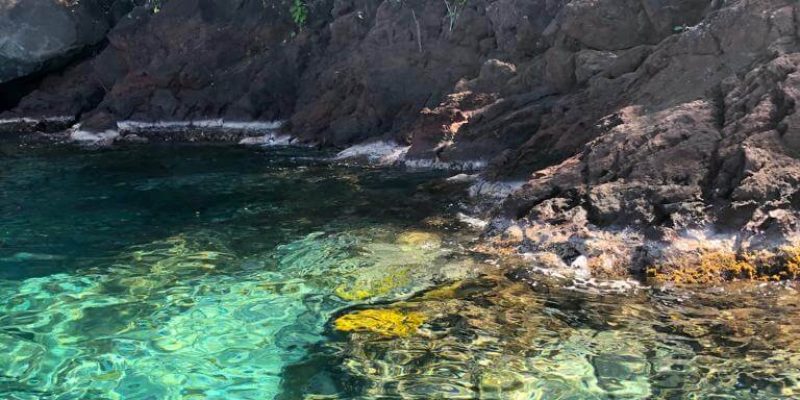 caminagua-blog-article-paddle-steppaddle