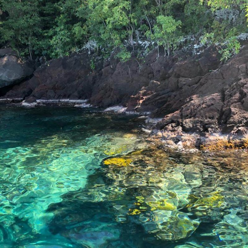 caminagua-blog-article-paddle-steppaddle
