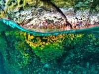 criques-grande-anse-plongee-snorkeling-paddle
